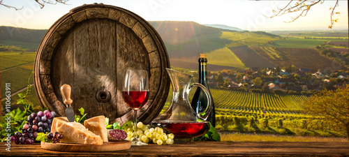 Cuadro en lienzo Wine barrel on vineyard