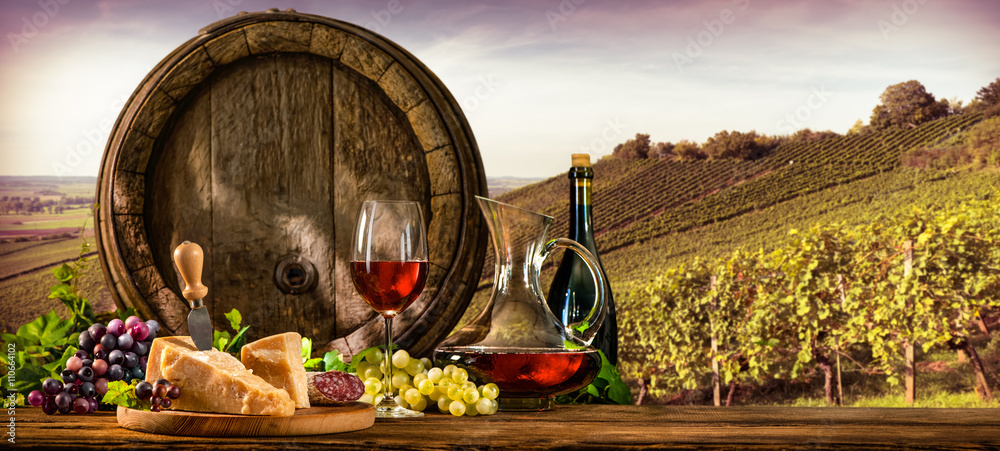 Fototapeta premium Wine barrel on vineyard