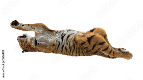 Fototapeta Naklejka Na Ścianę i Meble -  3D Rendering Tiger on White