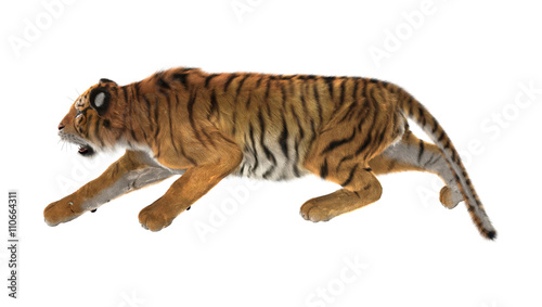Fototapeta Naklejka Na Ścianę i Meble -  3D Rendering Tiger on White
