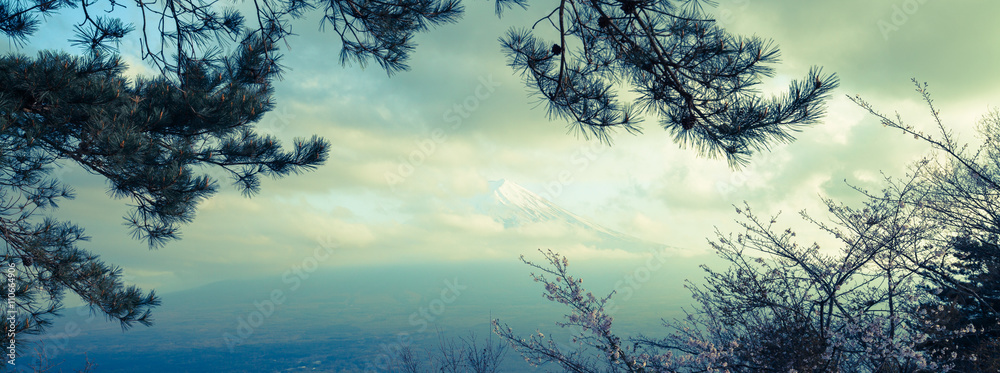 Fototapeta premium View of Mount Fuji from Kawaguchiko in April