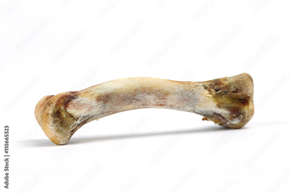 Ein Knochen Ein Knochen