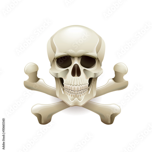 Skull crossbones isolated on white vector