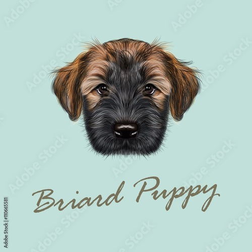 llustrated Portrait of Briard puppy.