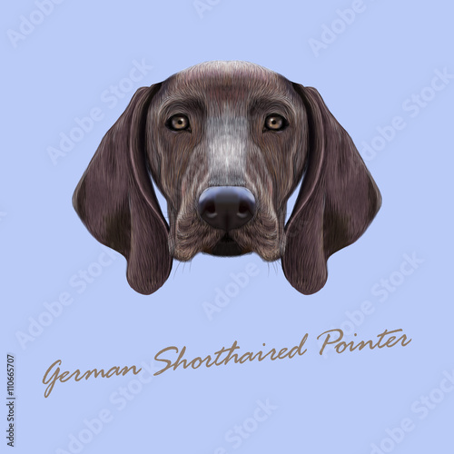 Vector Illustrated portrait of German Shorthaired Pointer dog
