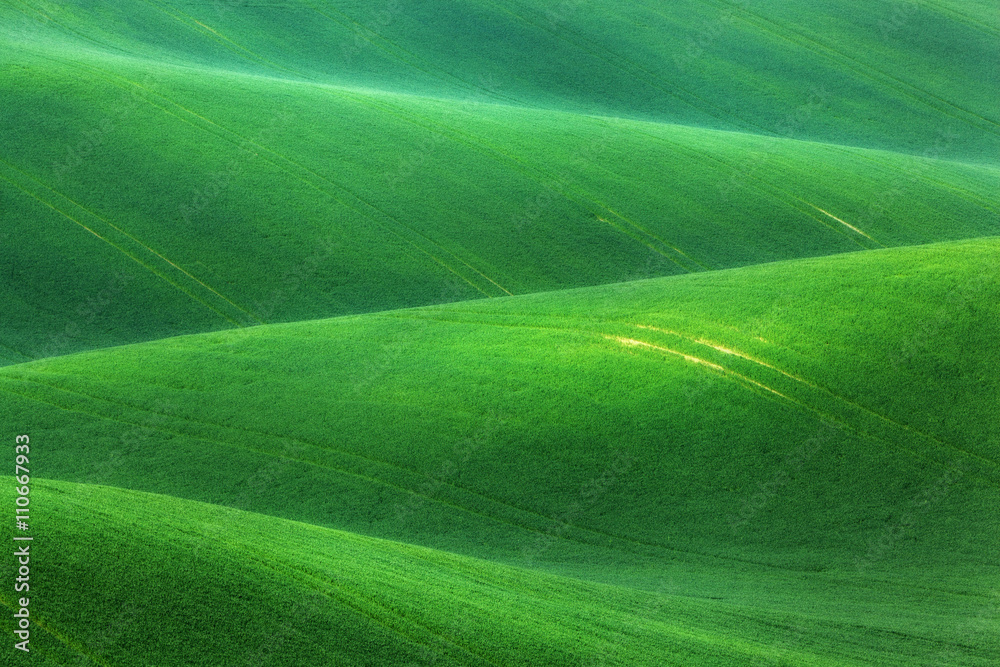 Fototapeta Amazing fairy minimalistic landscape with green fields in the morning in South Moravia, Czech Republic. Waves hills, rolling hills. Abstract nature background