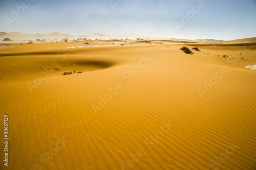 View of red dunes in the Namib Desert  Sossusvlei  Namibia