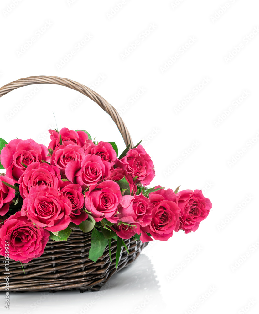 Roses in the wicker on white background