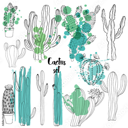 Vector watercolor cactus background