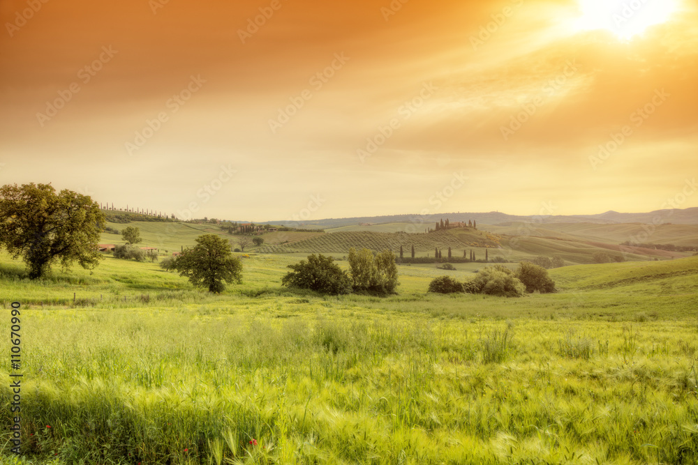 Beautiful Tuscany landscape in sunrise Beautiful Tuscany landscape in sunrise