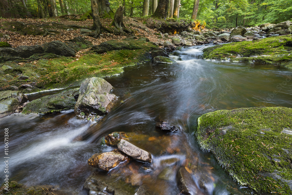 Obraz premium Green Mountain Stream Long Exposure