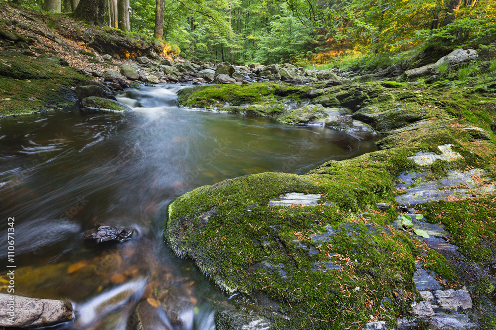 Obraz premium Green Mountain Stream Long Exposure