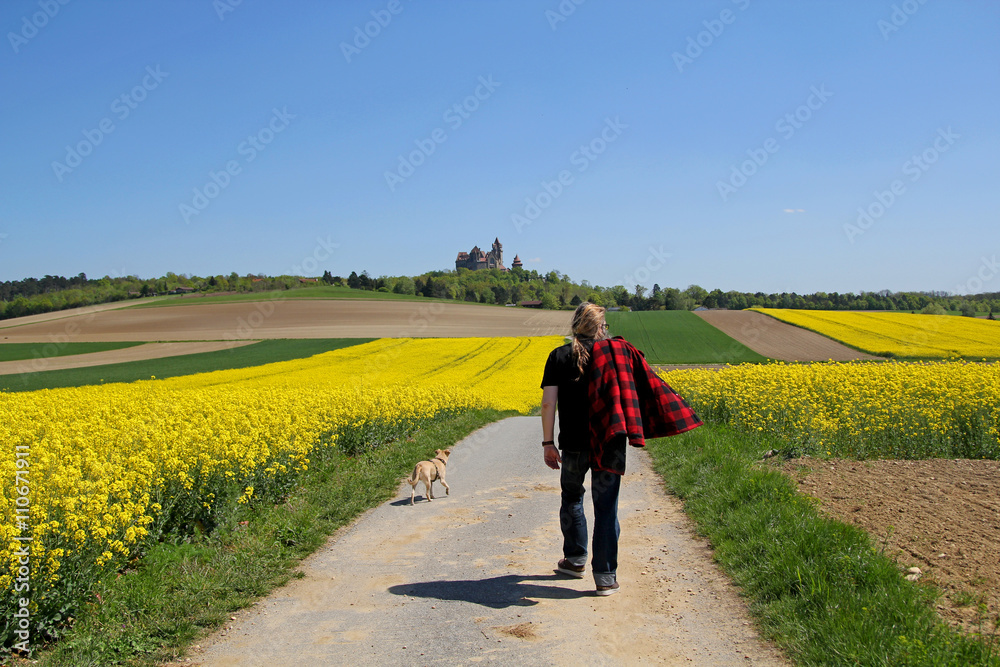 Urlaub mit Hund in Niederösterreich