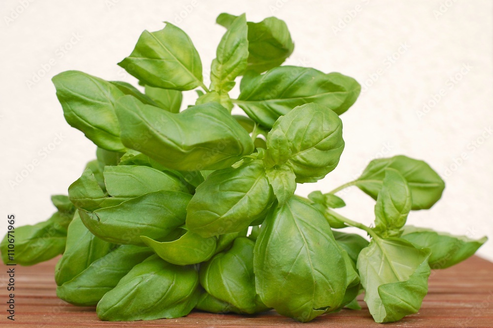 Basil on the wooden background Basil on the wooden background