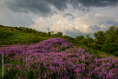 rural landscape