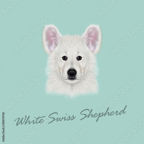 Vector Illustrated Portrait of White Swiss Shepherd dog.
