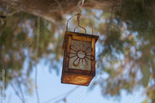 lantern hanging from a tree