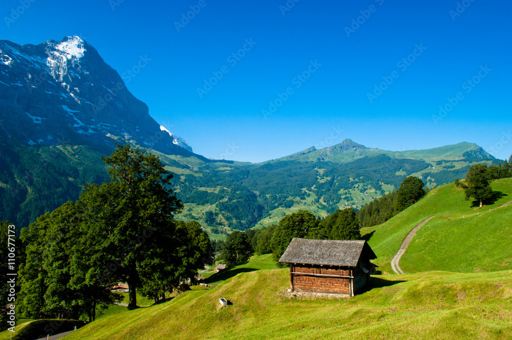 Mount Eiger view, Swiss mountains - Bernese Alps in summer, Switzerland, Berner Oberland
