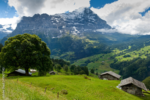 Mount Eiger view, Swiss mountains - Bernese Alps in summer, Switzerland, Berner Oberland