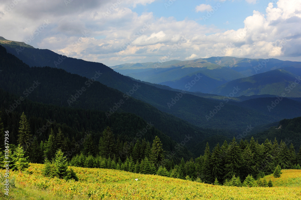 Alpine landscape in Bucegi Mountains, Romania, Europe