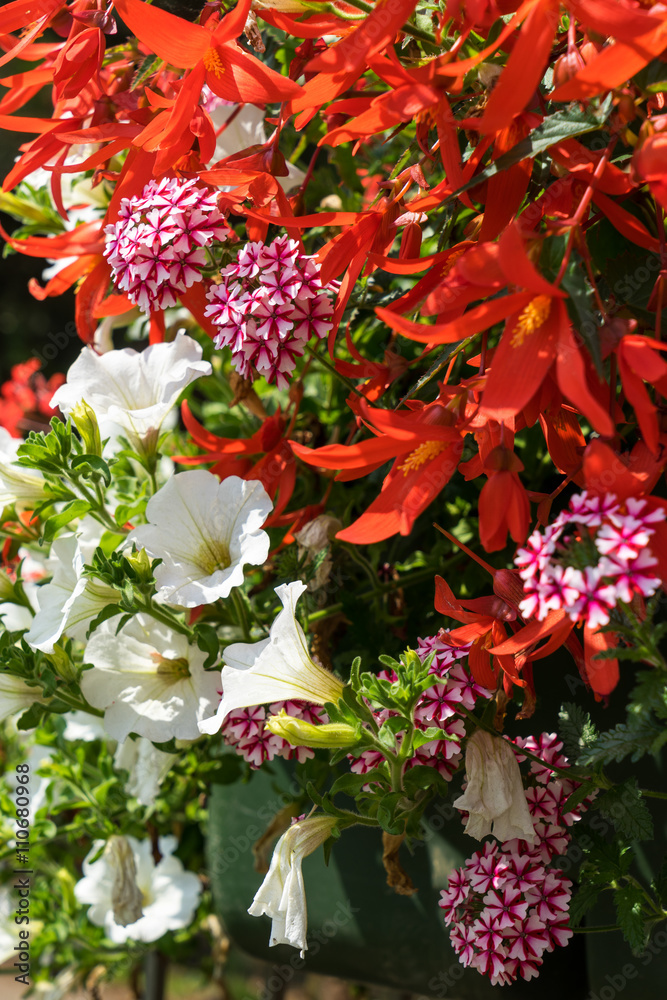 East Grinstead in Bloom