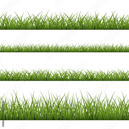 Green grass seamless pattern. Nature background design. Horizontal silhouette, isolated on white background. Symbol of nature, field, lawn and meadow, fresh, summer. Design element Vector illustration