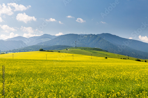 Nature in Liptov region  Slovakia in summer 2015