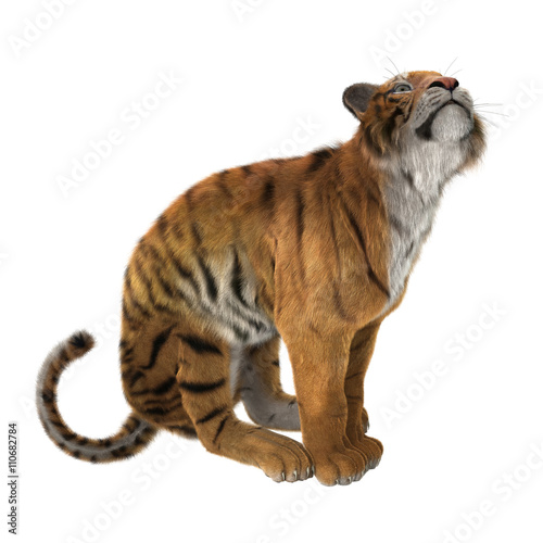 Fototapeta Naklejka Na Ścianę i Meble -  3D Rendering Tiger on White
