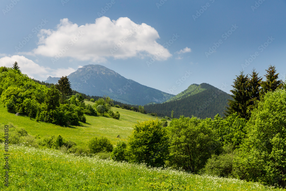 Nature in Liptov region, Slovakia in summer 2015 Nature in Liptov region, Slovakia in summer 2015
