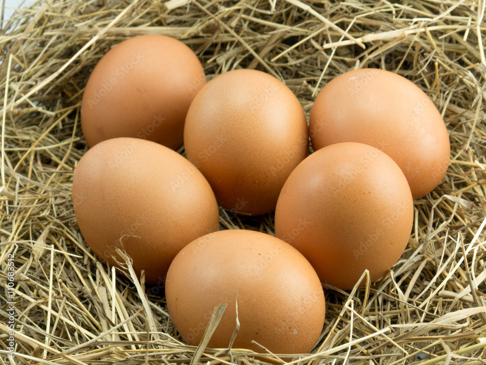 Six eggs on a haystack