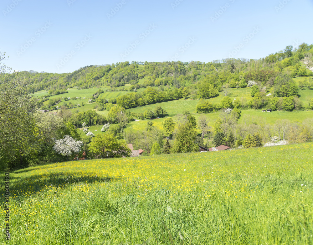 rural springtime scenery