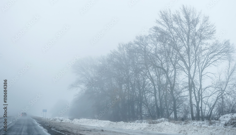 Fototapeta premium foggy country road with dirty snow and trees on sides