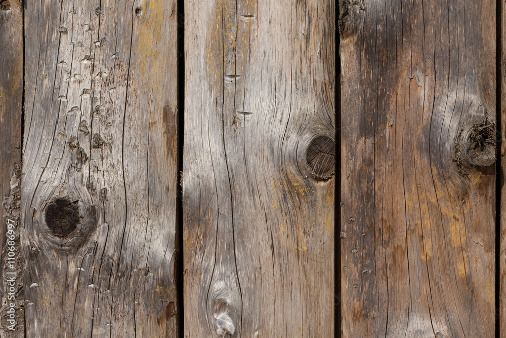 Wooden wall from logs Wooden wall from logs