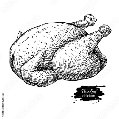 Vector roasted whole chicken. Engraved food illustration.