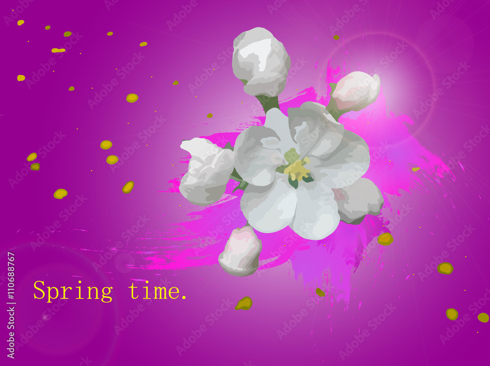Fototapeta premium Spring-time-18