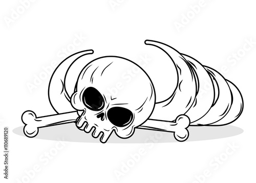Remains of skeleton. Bones and skull on white background. death