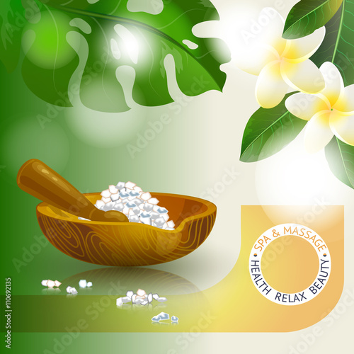 Vector illustration with  spa accessories pounders, pestle and salt