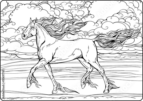 horse with mane and tail of flames of fire.