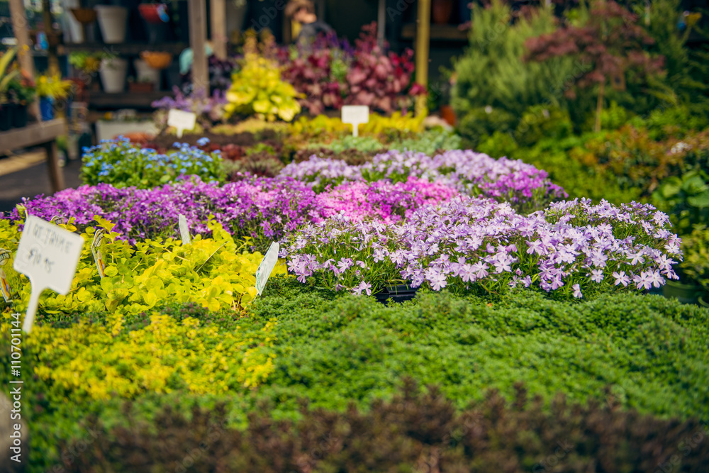 Obraz premium Outdoors Flowers and plants market in Brooklyn, New York