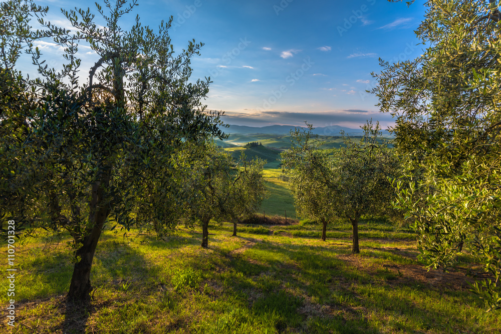Tuscan hills and spring landscape. Tuscan hills and spring landscape.