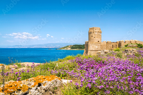 Obraz na płótnie Le Castella at Capo Rizzuto, Calabria, Italy w salonie
