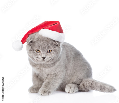 Kitten in red santa hat. isolated on white background