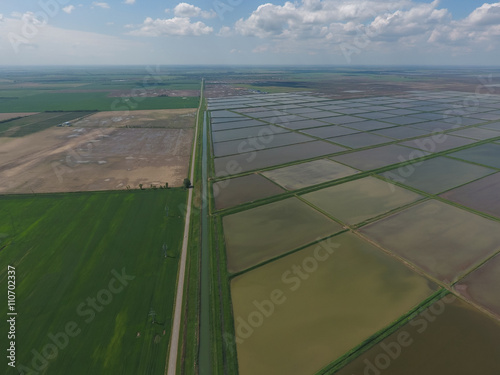 Flooded rice paddies. Agronomic methods of growing rice in the fields. photo