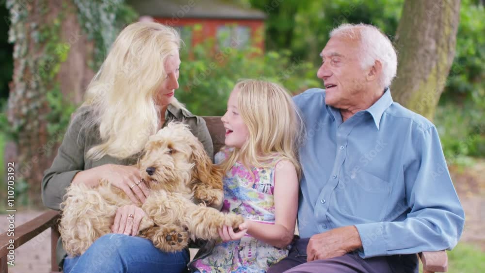 3 generations of a family spending time together in garden with pet dog 3 generations of a family spending time together in garden with pet dog