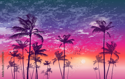 Exotic tropical palm trees  at sunset, with cloudy sky