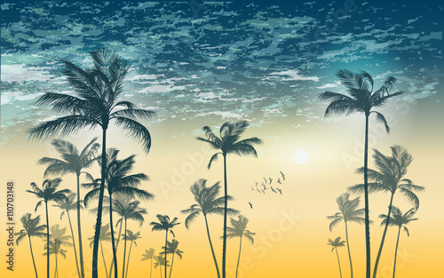 Exotic tropical palm trees  at sunset, with cloudy sky