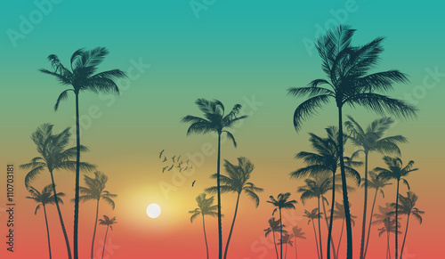 Exotic tropical palm trees  at sunset