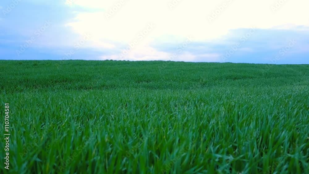 sunset clouds over grass field
