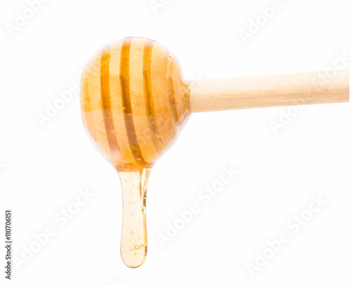 honey bee on wood  white background