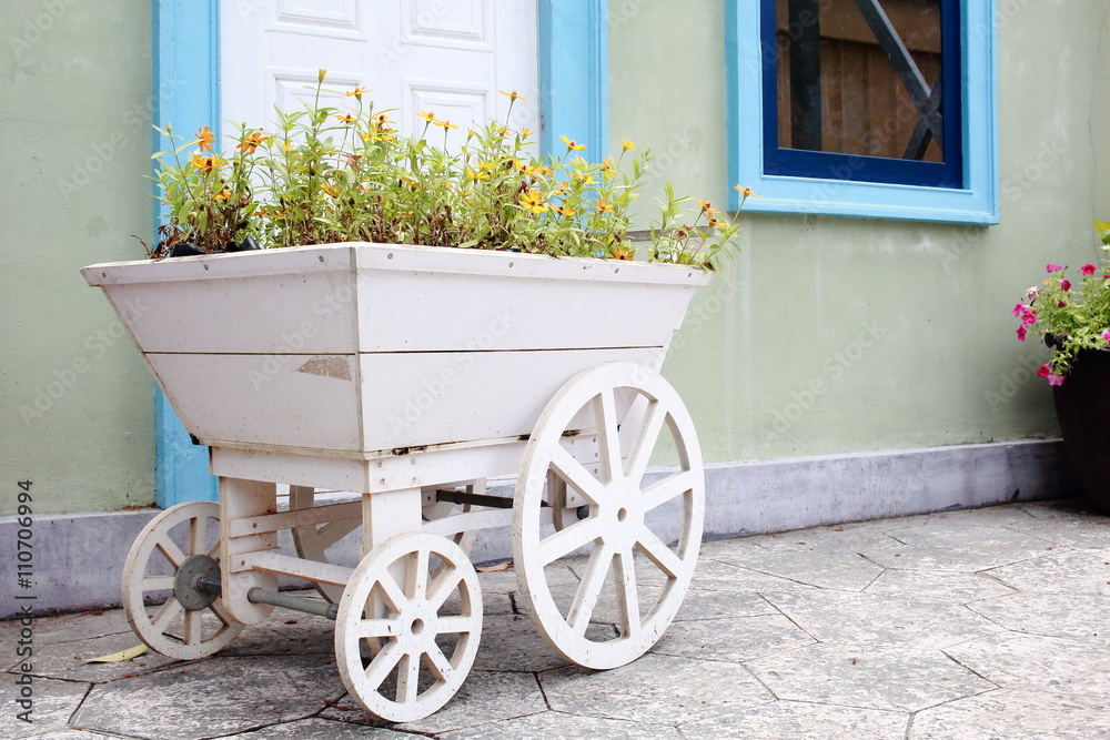 Yellow Flowers Planting In A White Wooden Cart